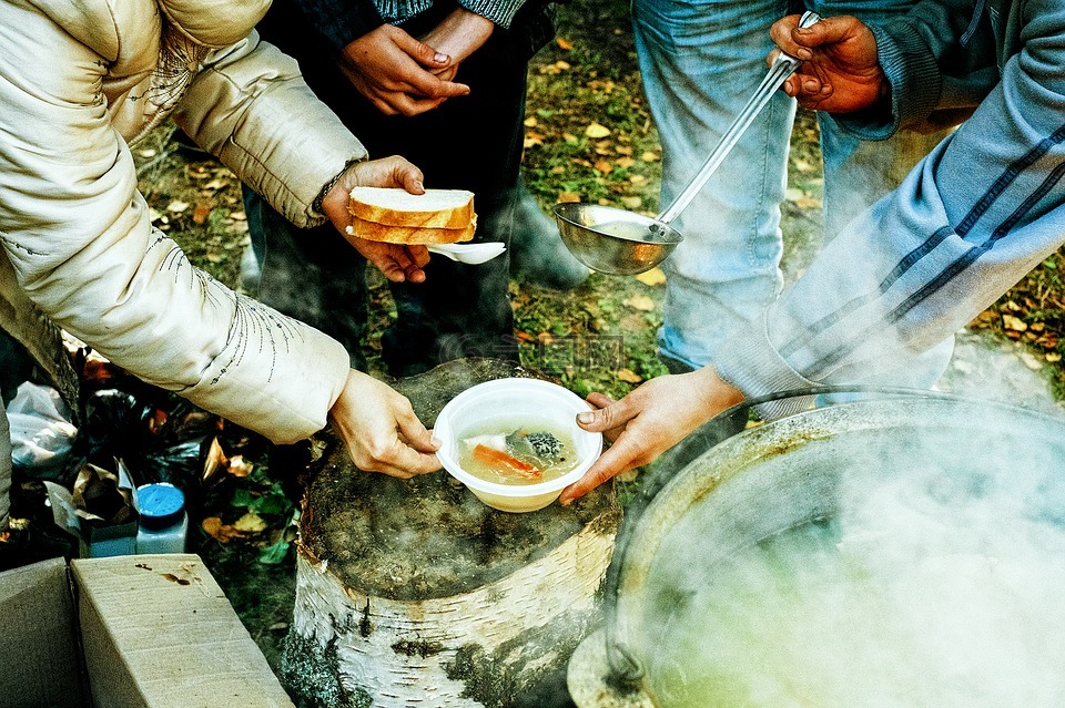 夏季,捕鱼,度假