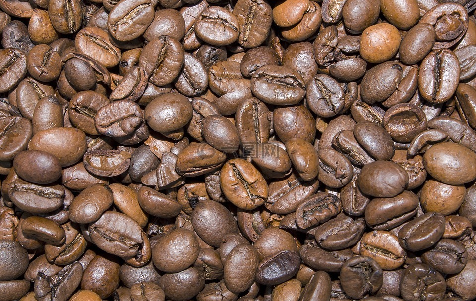 背景,咖啡,咖啡豆