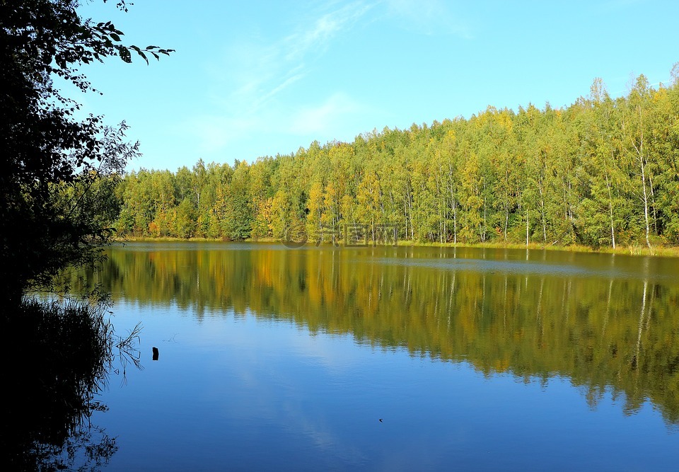 湖,森林,waldsee