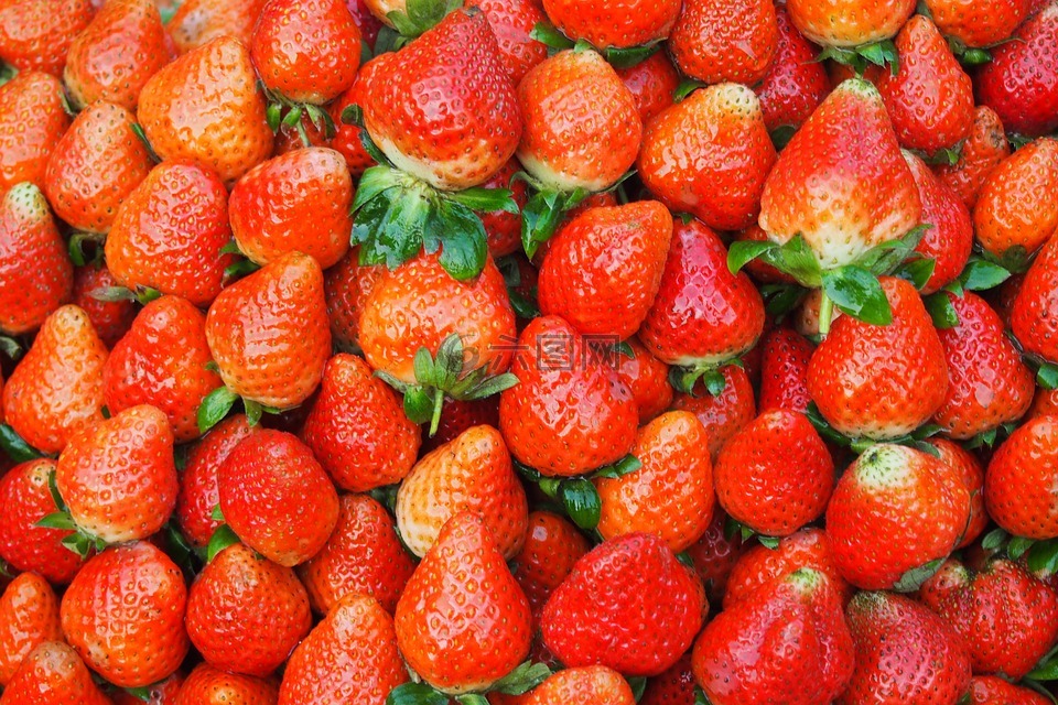 草莓,草莓馅饼,集合