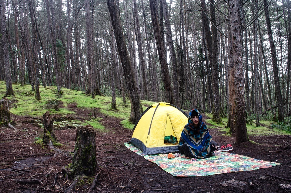露营,野餐,树林里