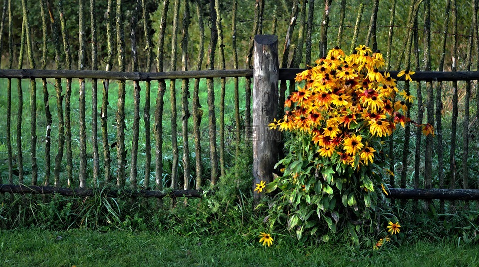 鲜花,篱笆,跨栏
