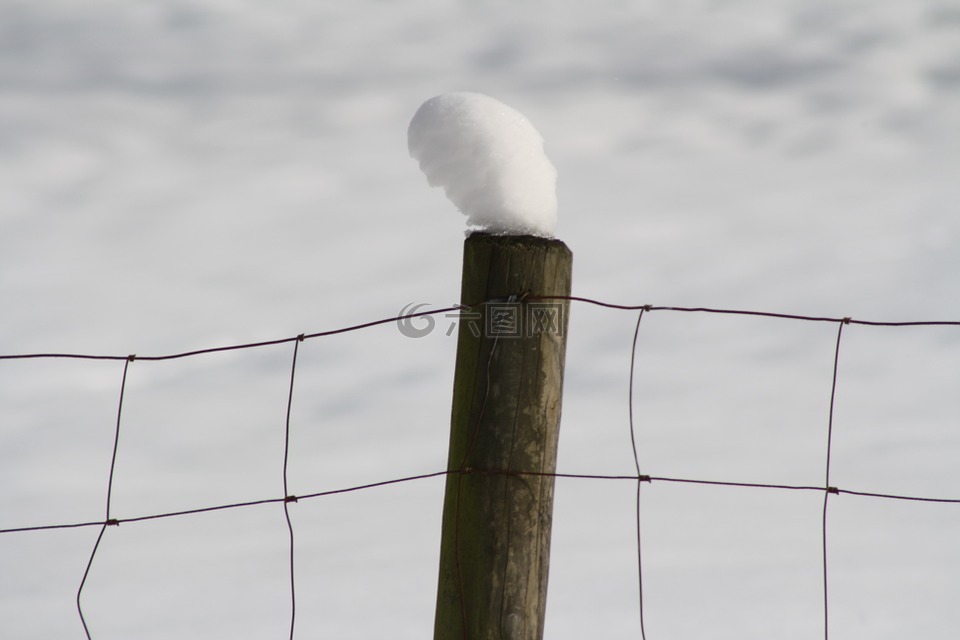 雪,帽子,护栏网