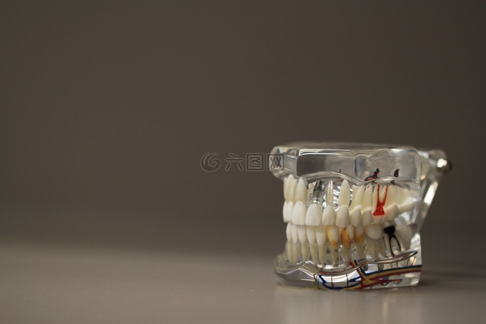 牙科,dentals,牙齿