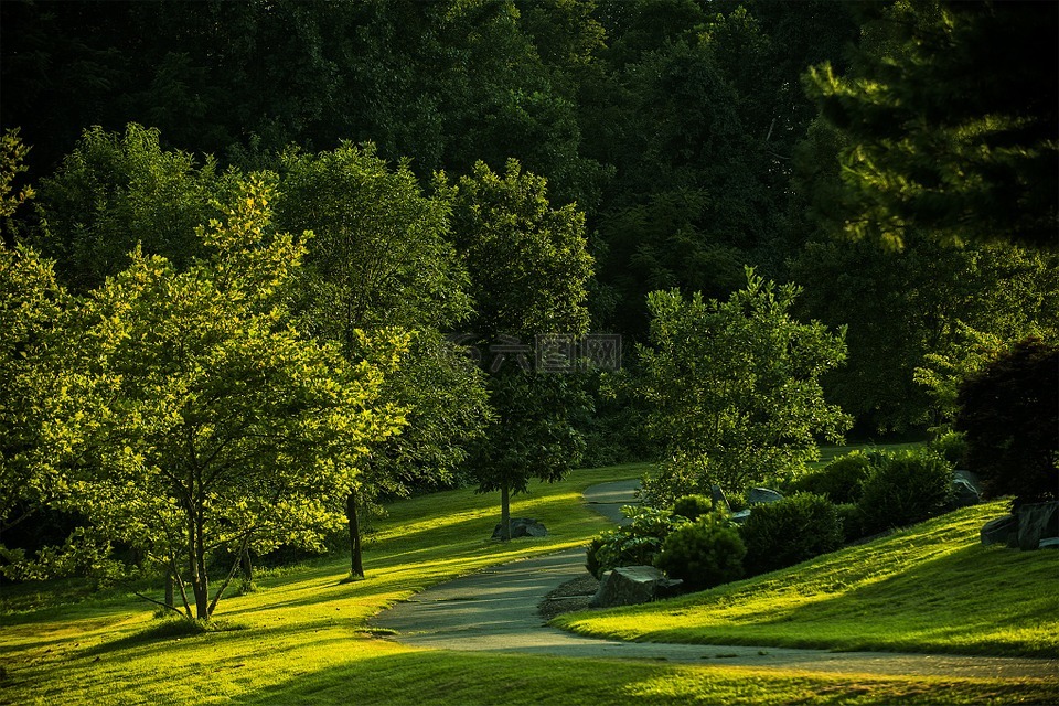 夏天,公园,弗吉尼亚州