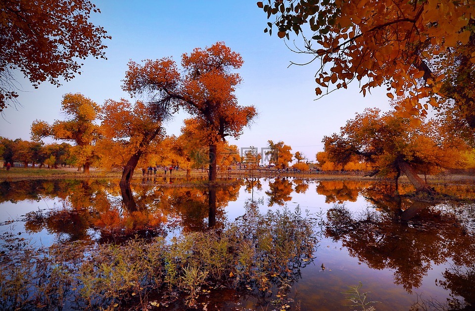 沙漠,风景,水