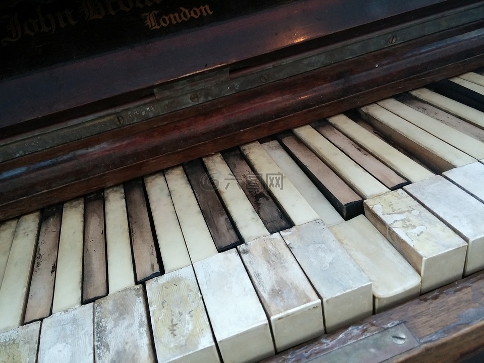 钢琴,键,乌木