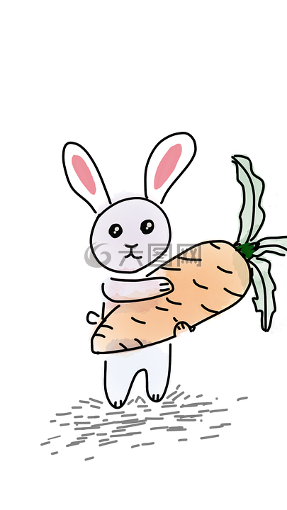 兔,胡萝卜,大胡萝卜