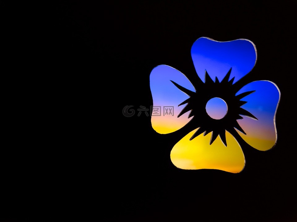花,轮廓,黄与蓝