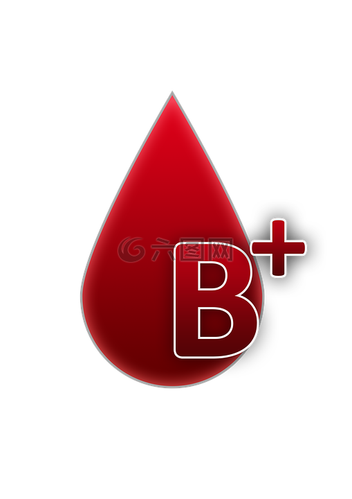 血型,b,rh积极的因素