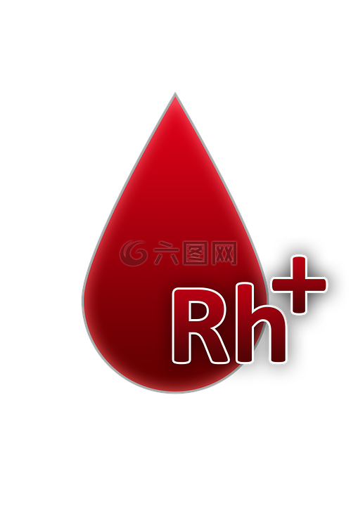 血型,rh积极的因素,血液
