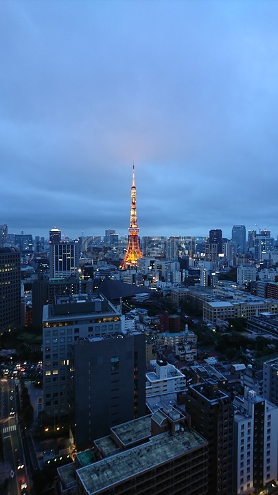 东京塔,夜景,城市