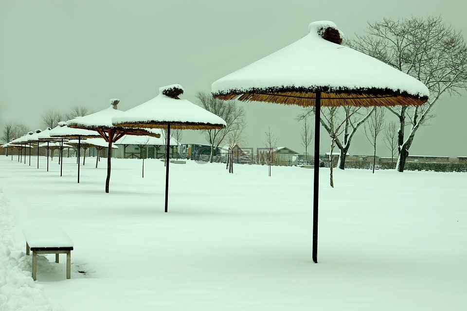 雪,冬天在海滩上,阳伞