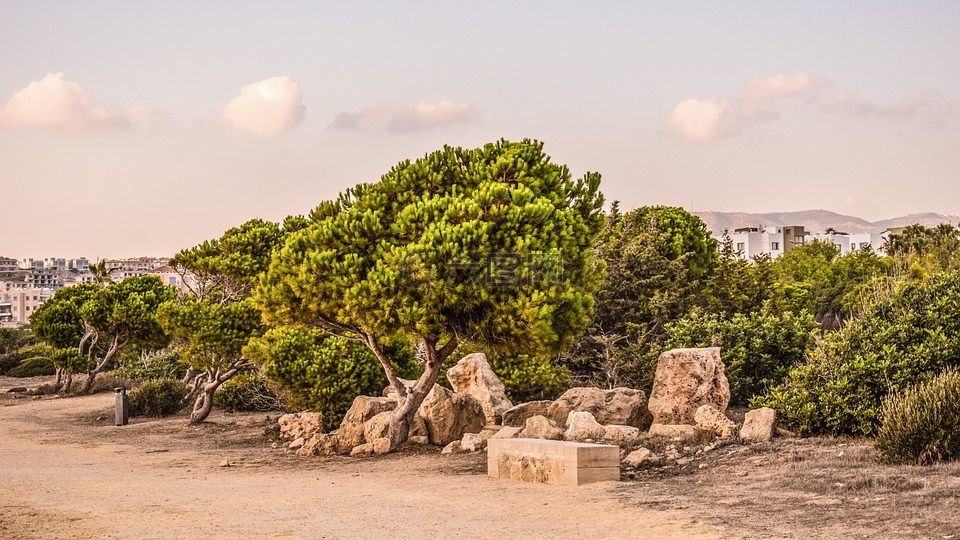 塞浦路斯,帕福斯,国王墓