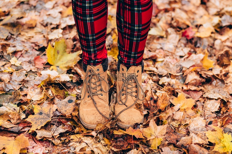 秋,靴子,干树叶
