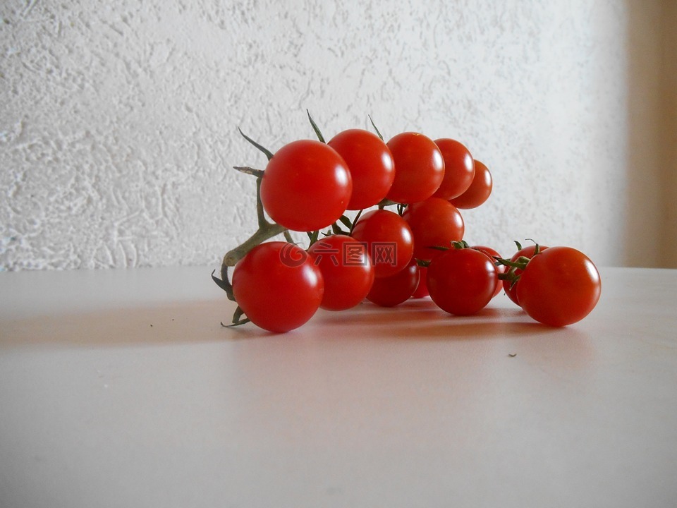 蕃茄,樱桃番茄,迷你番茄