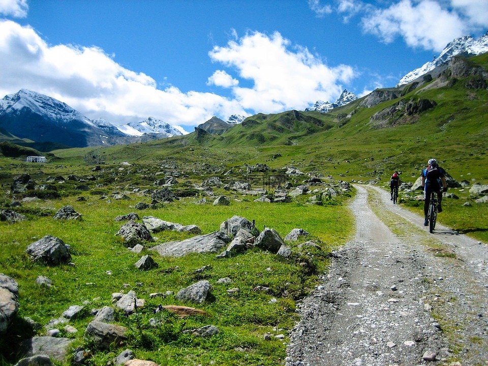 结核分枝杆菌,山地自行车,高山