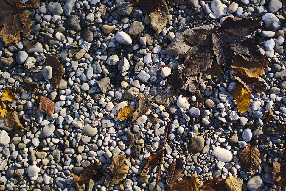 石头,叶子,秋