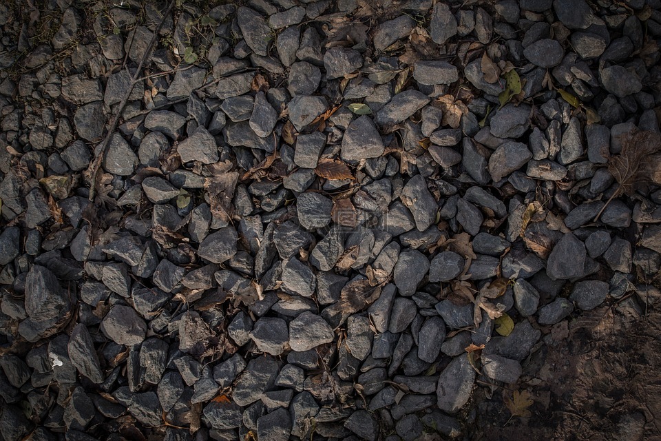 秋叶,碎石,灰色