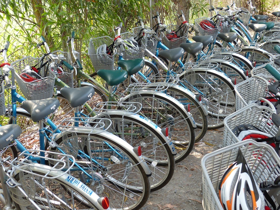 越南,湄公河三角洲,自行车