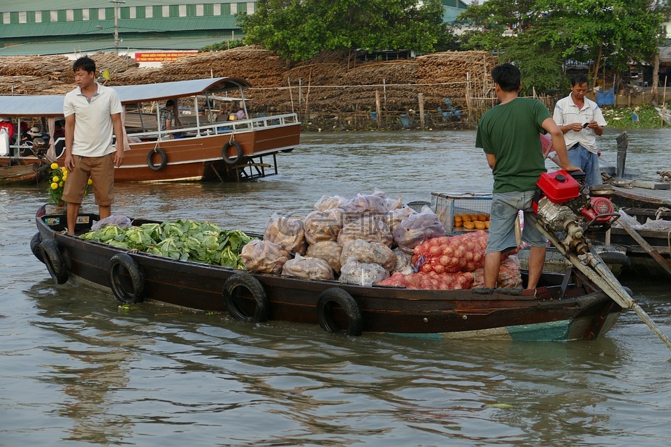 越南,湄公河流域,湄公河三角洲