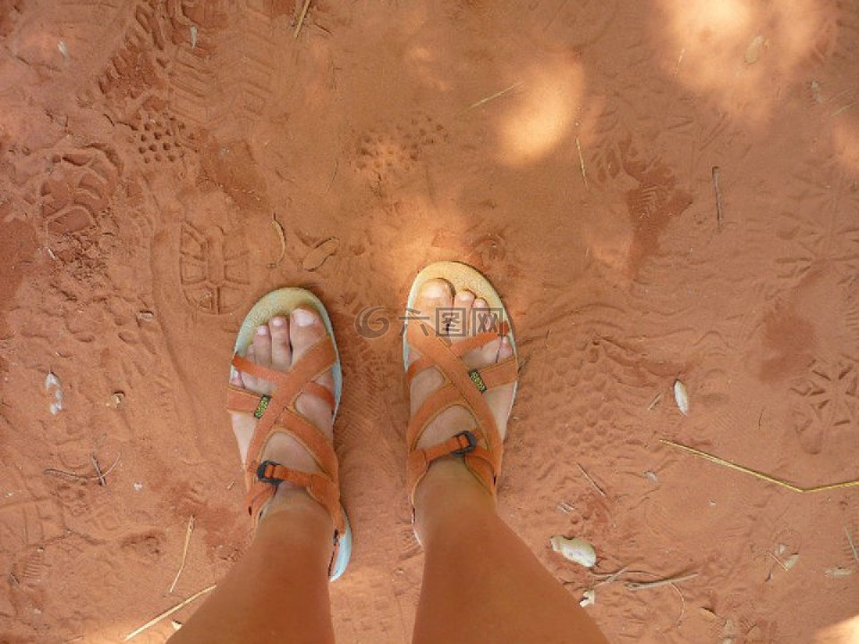脚,砂,赭色