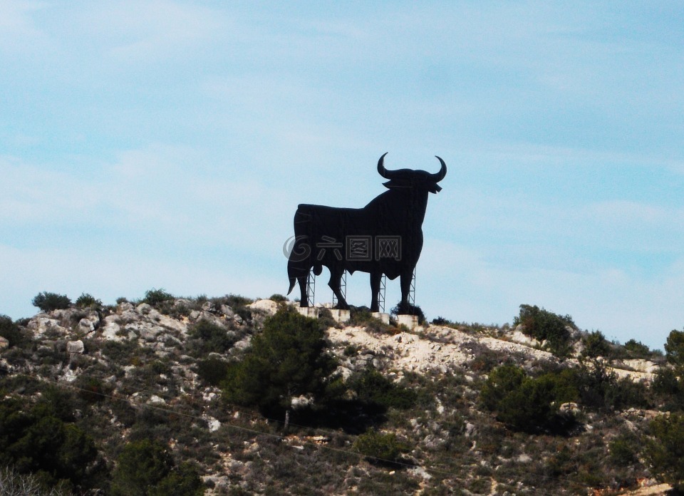 公牛队,西班牙,斗牛