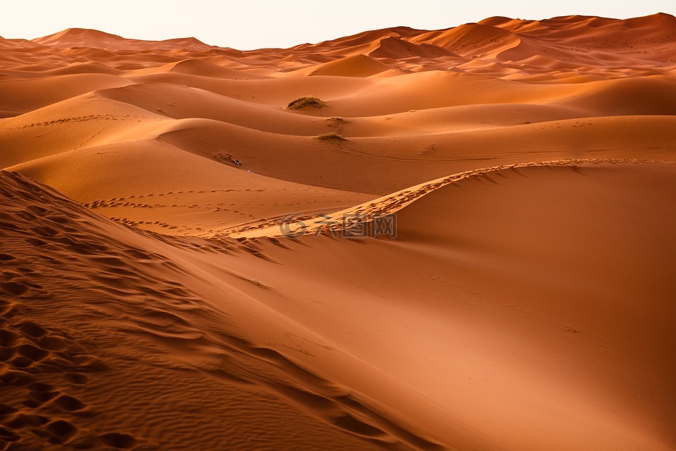 沙漠,摩洛哥,沙丘