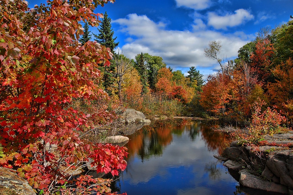 加拿大,秋,秋天