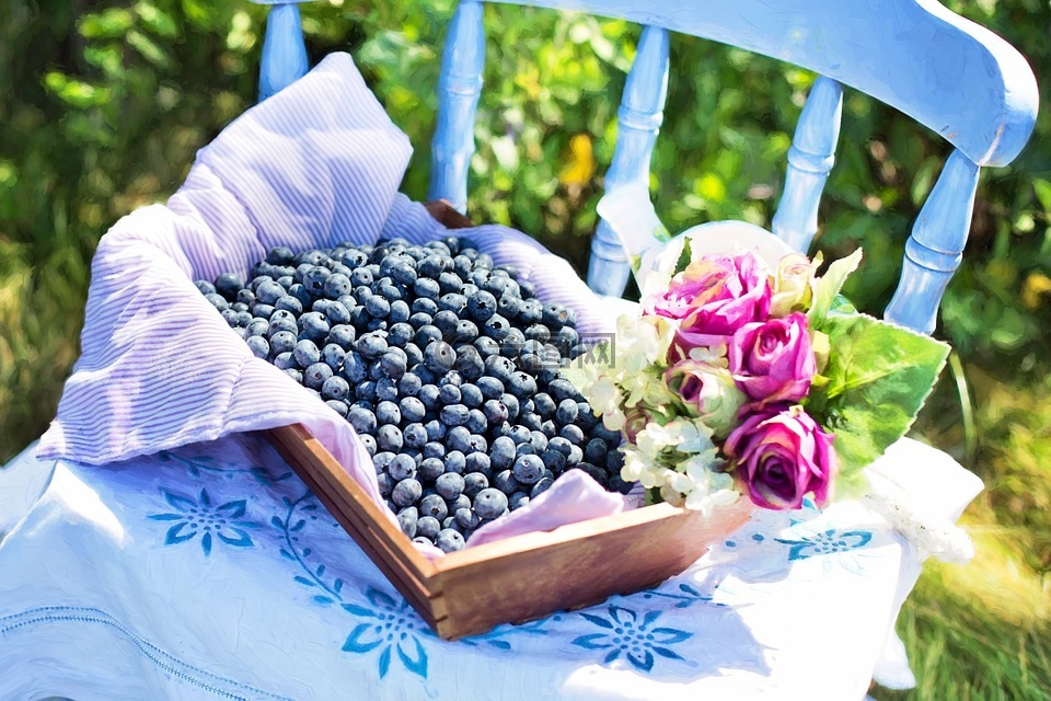 蓝莓,夏天,水果