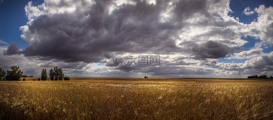 麦田,粮食领域的全景图,insel范德普尔