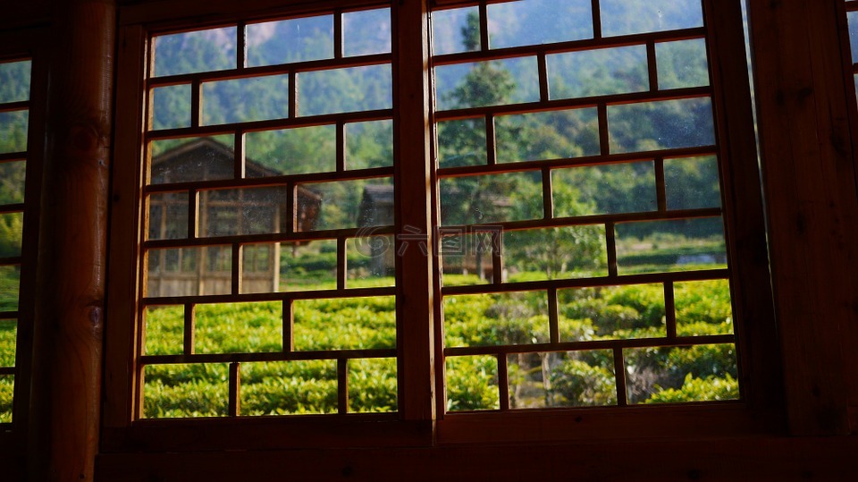 茶馆,窗口,绿