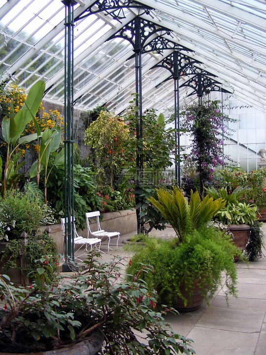 温室,植物,温室大棚