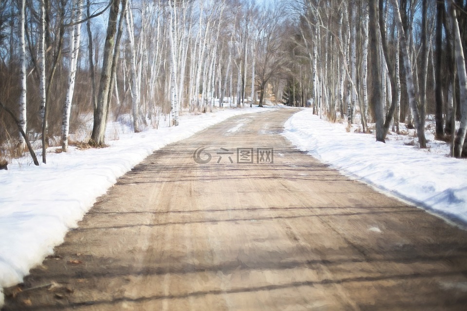 冬季道路,白桦树,森林
