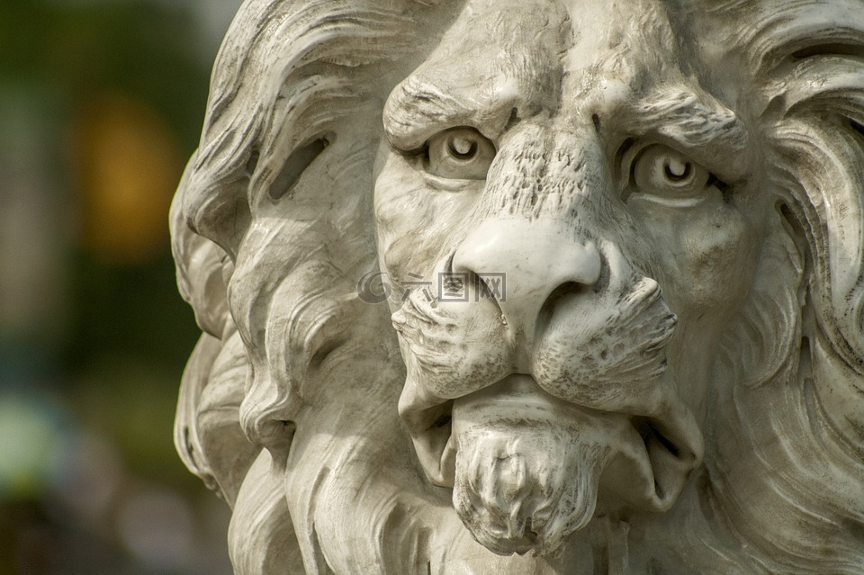 狮子,雕像,动物园