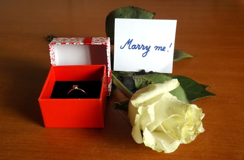 嫁给​​我,订婚戒指,玫瑰