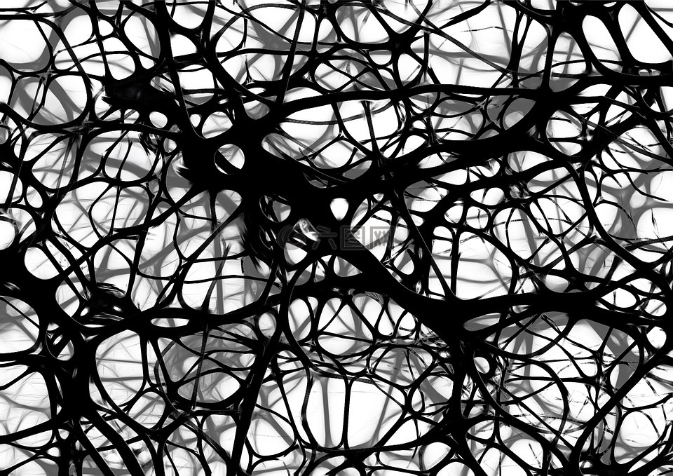 神经元,脑细胞,大脑结构