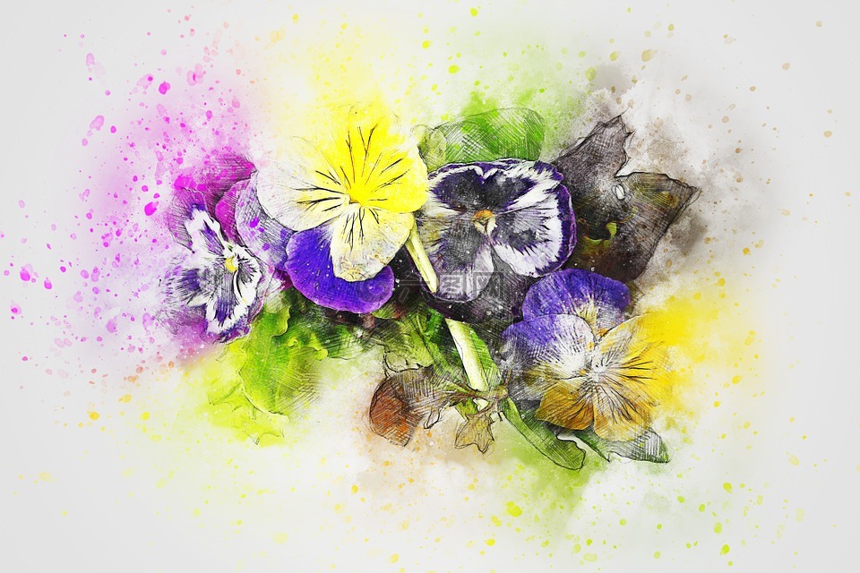 鲜花,三色堇,艺术