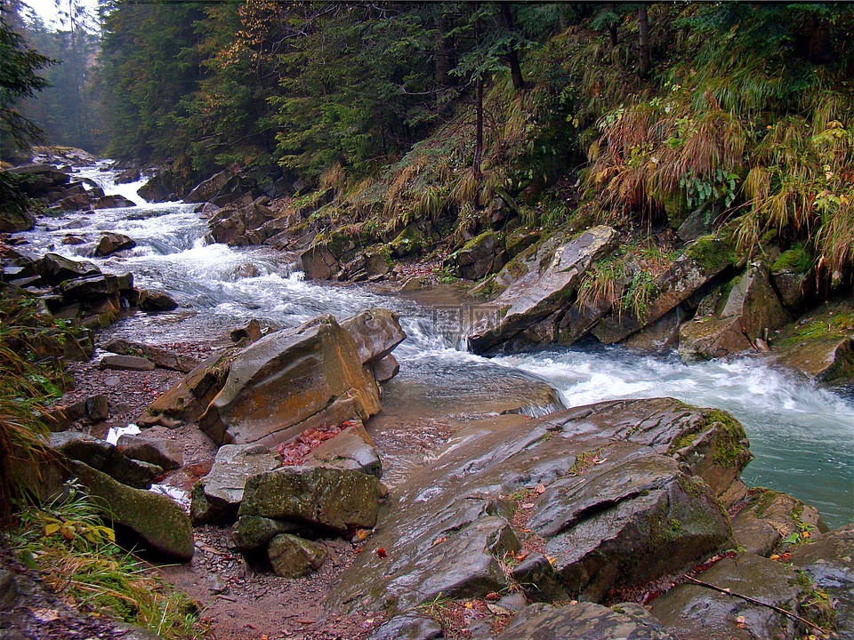 洪流,热,水