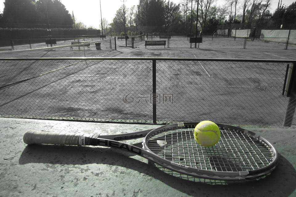网球,运动