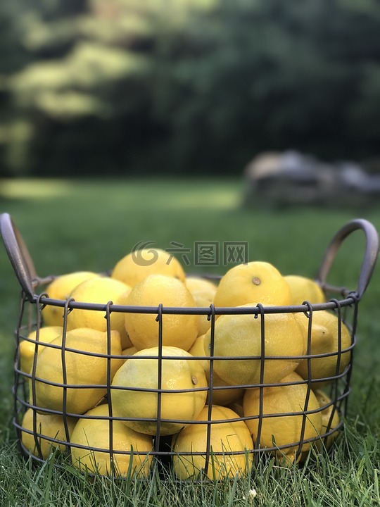 柠檬,黄色,新鲜