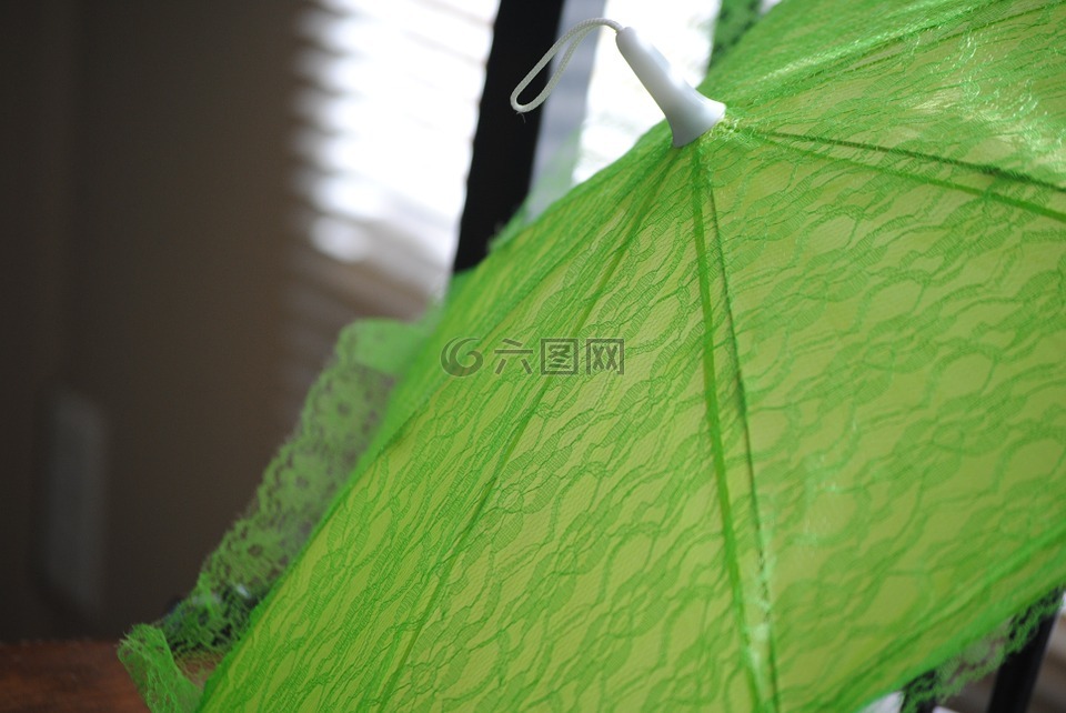 梧桐,绿色,伞
