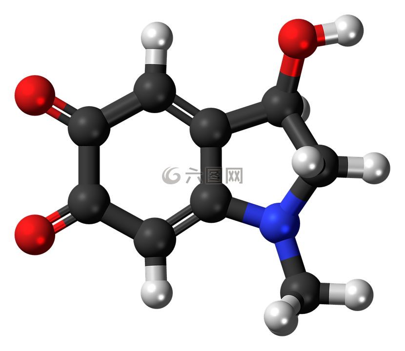 adrenochrome,分子,模型