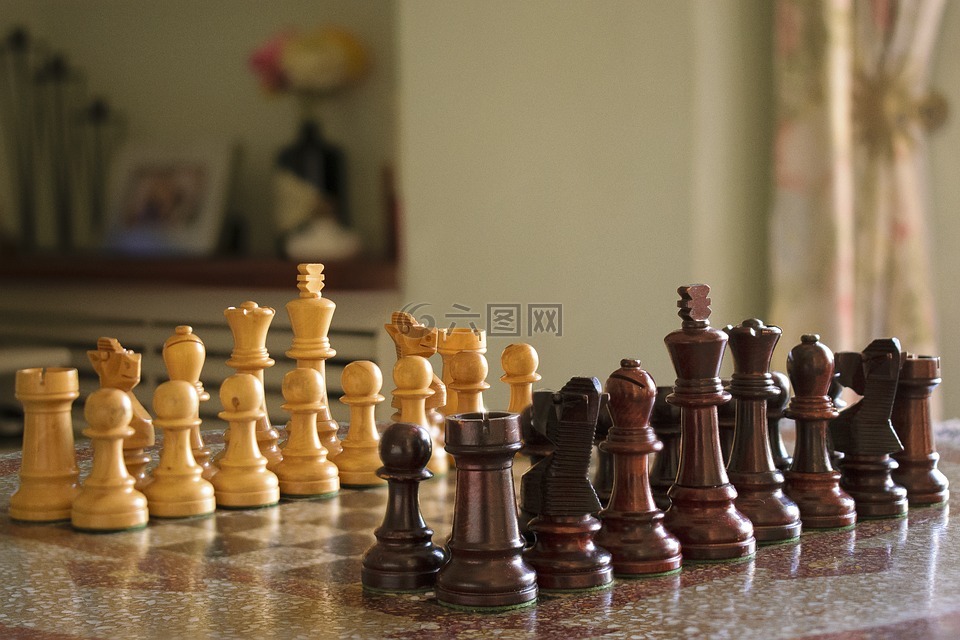 国际象棋,游戏,运动