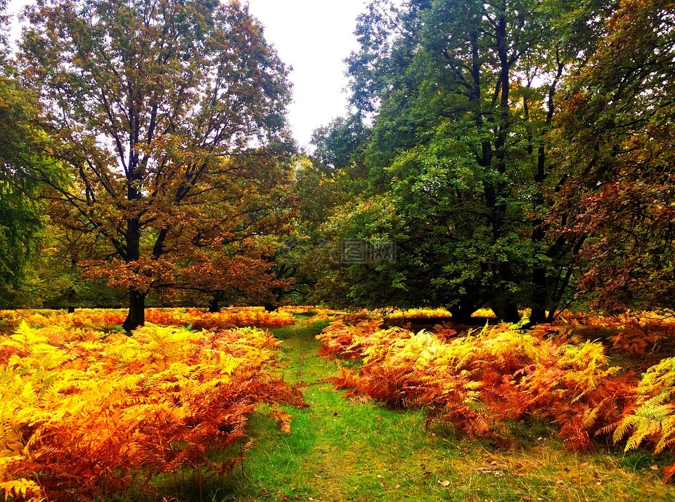 吕讷堡草原,秋季,一年的时间