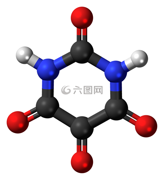 四氧嘧啶,分子,模型