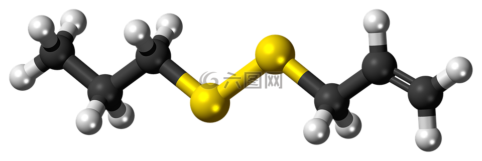 allylpropyldisulfide,分子,模型