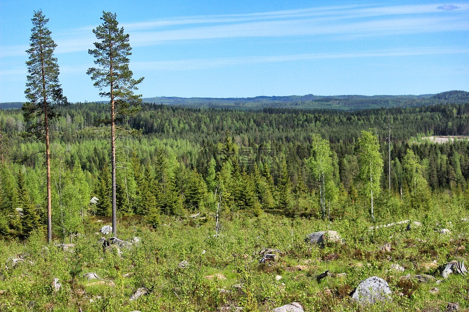 自然,芬兰语,芬兰景观