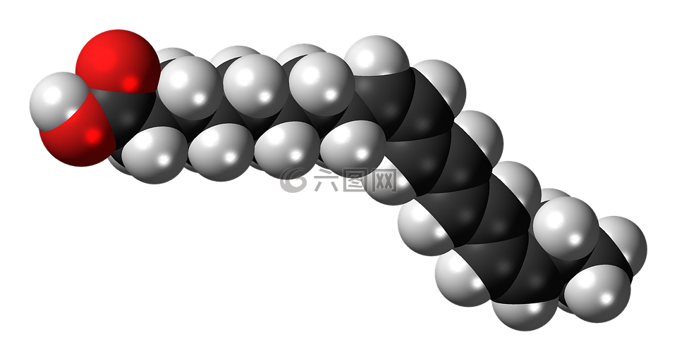 阿尔法 parinaric 酸,不饱和,脂肪酸
