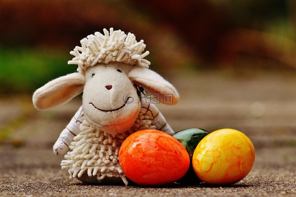 羊,蛋,丰富多彩